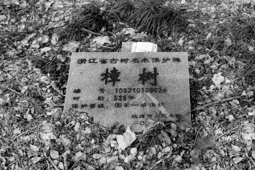 墨香印迹 · 府城印精品酒店丨中国台州丨零壹城市建筑事务所-25