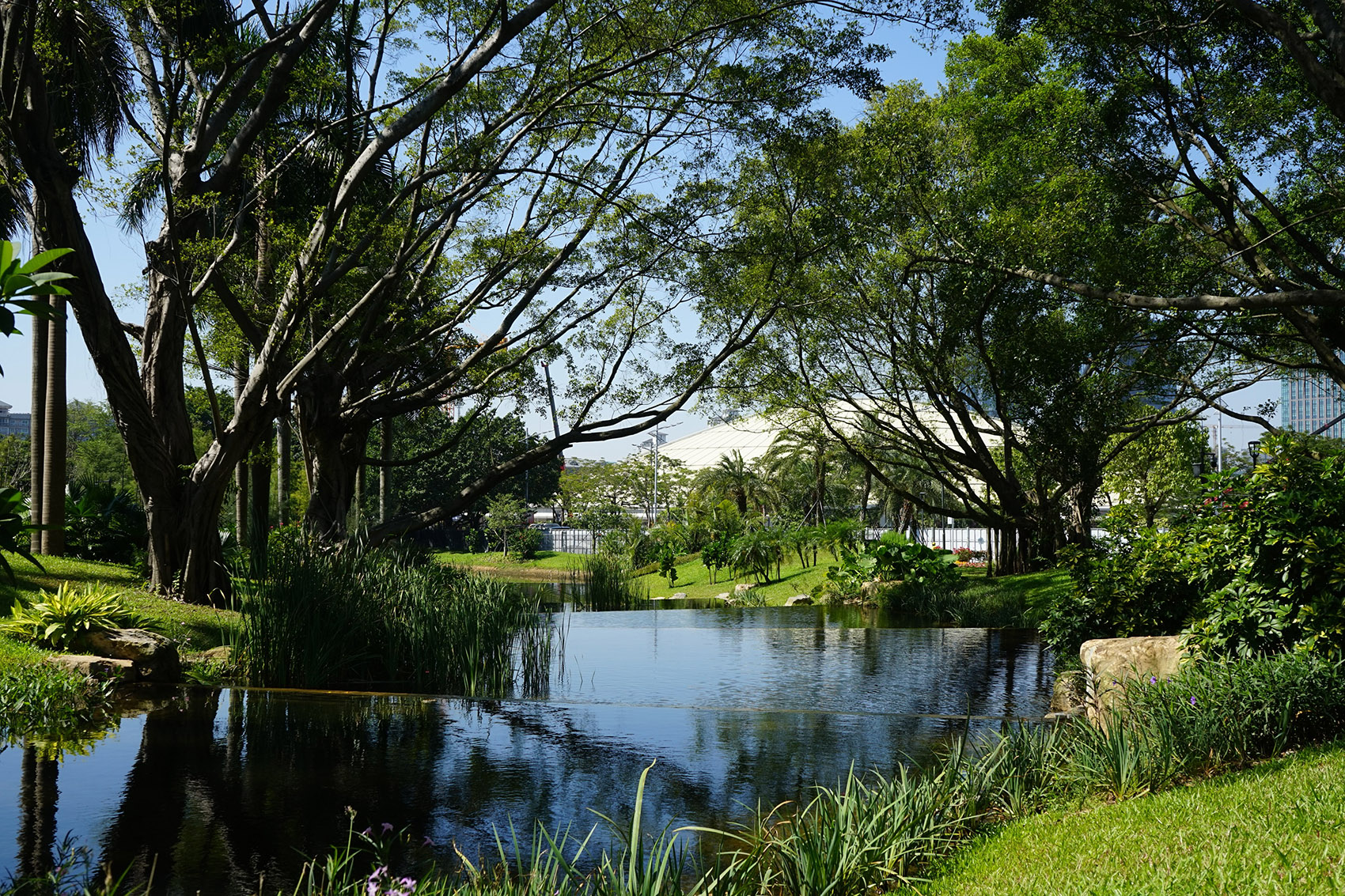广州云溪植物园环境提升工程整体景观设计丨中国广州丨AECOM,广州园林建筑规划设计研究总院等-41