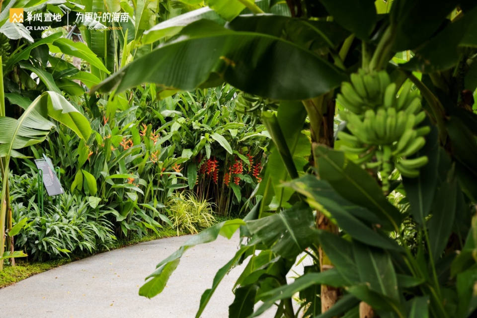 海棠河生态公园二期景观设计丨中国三亚丨LOLA Landscape Architects-103