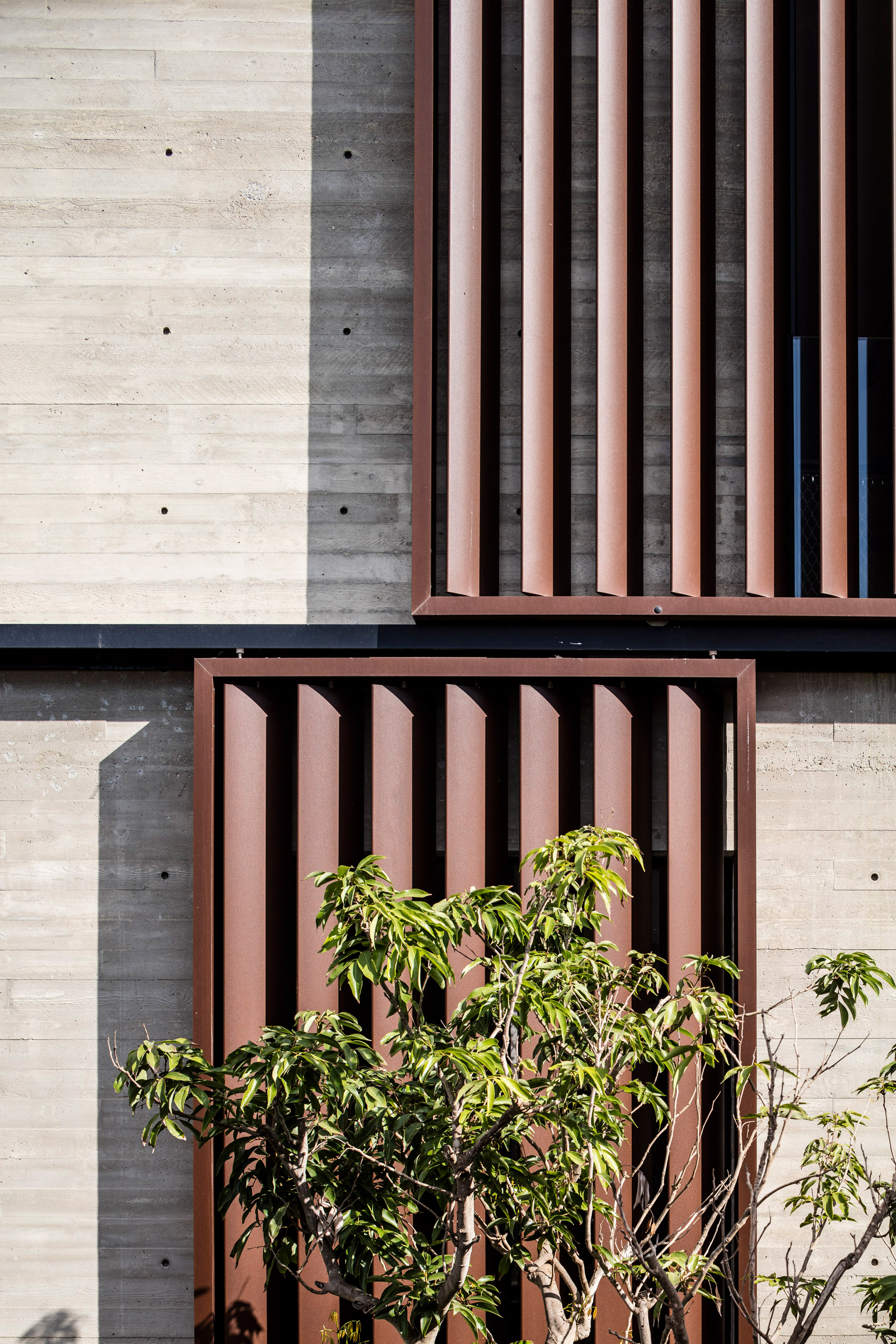 Box-framed louvres shade board-marked concrete Tel Aviv house-11