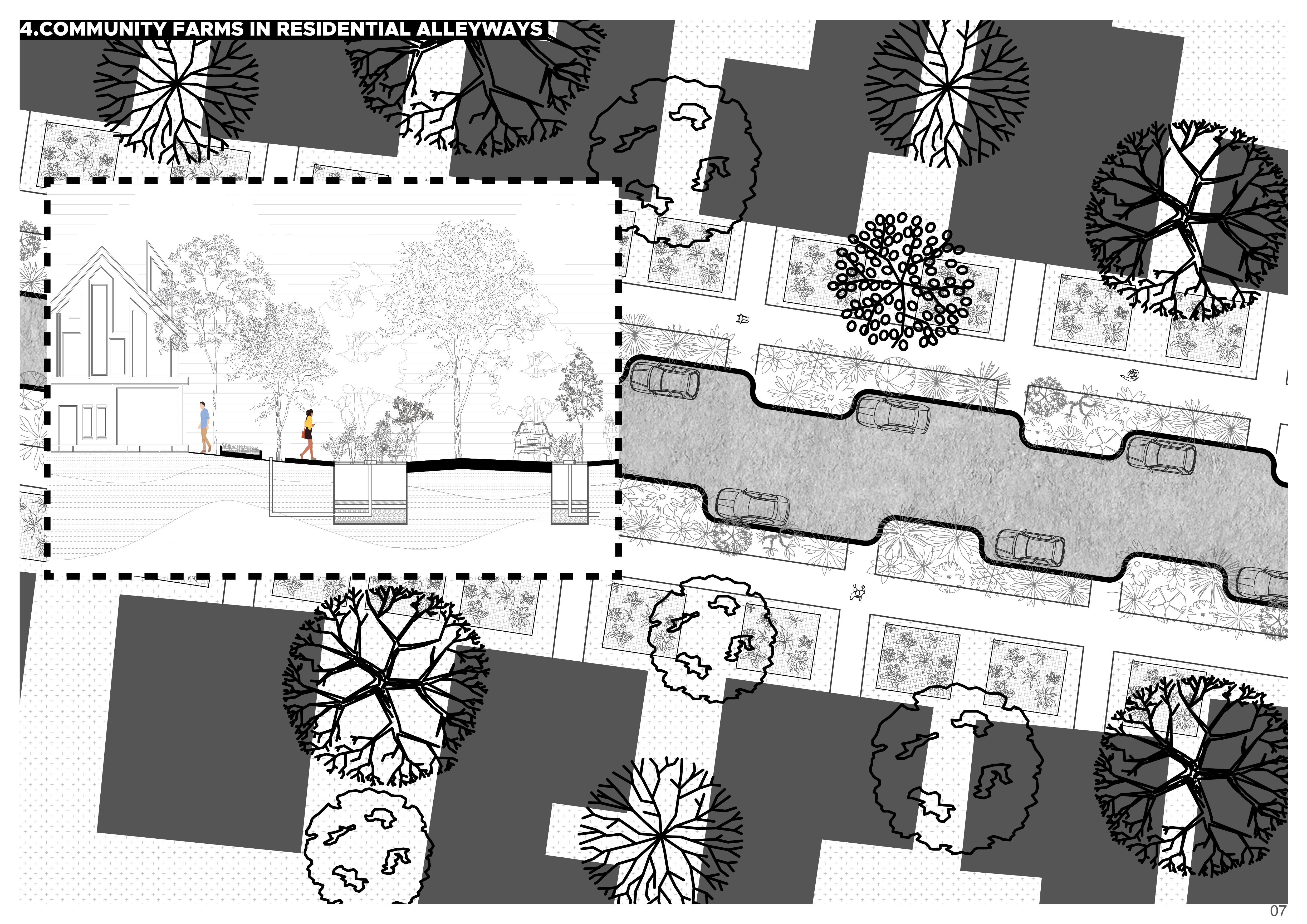 Landscape Portfolio-8