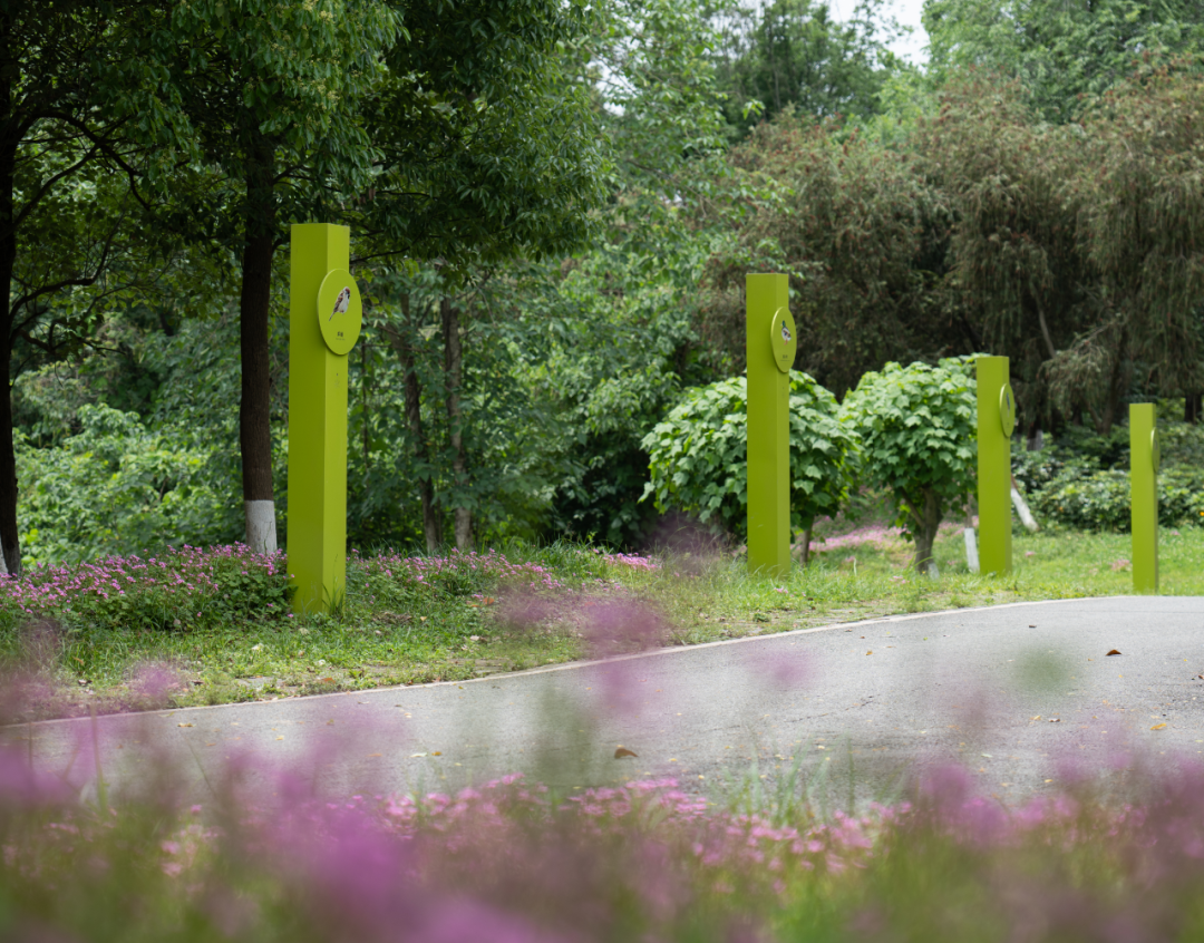 白鹭湾湿地公园自然探索基地丨中国成都丨上海柏熙标识有限公司-68