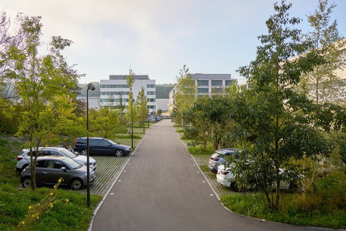 瑞士 DSM 创新校园-12