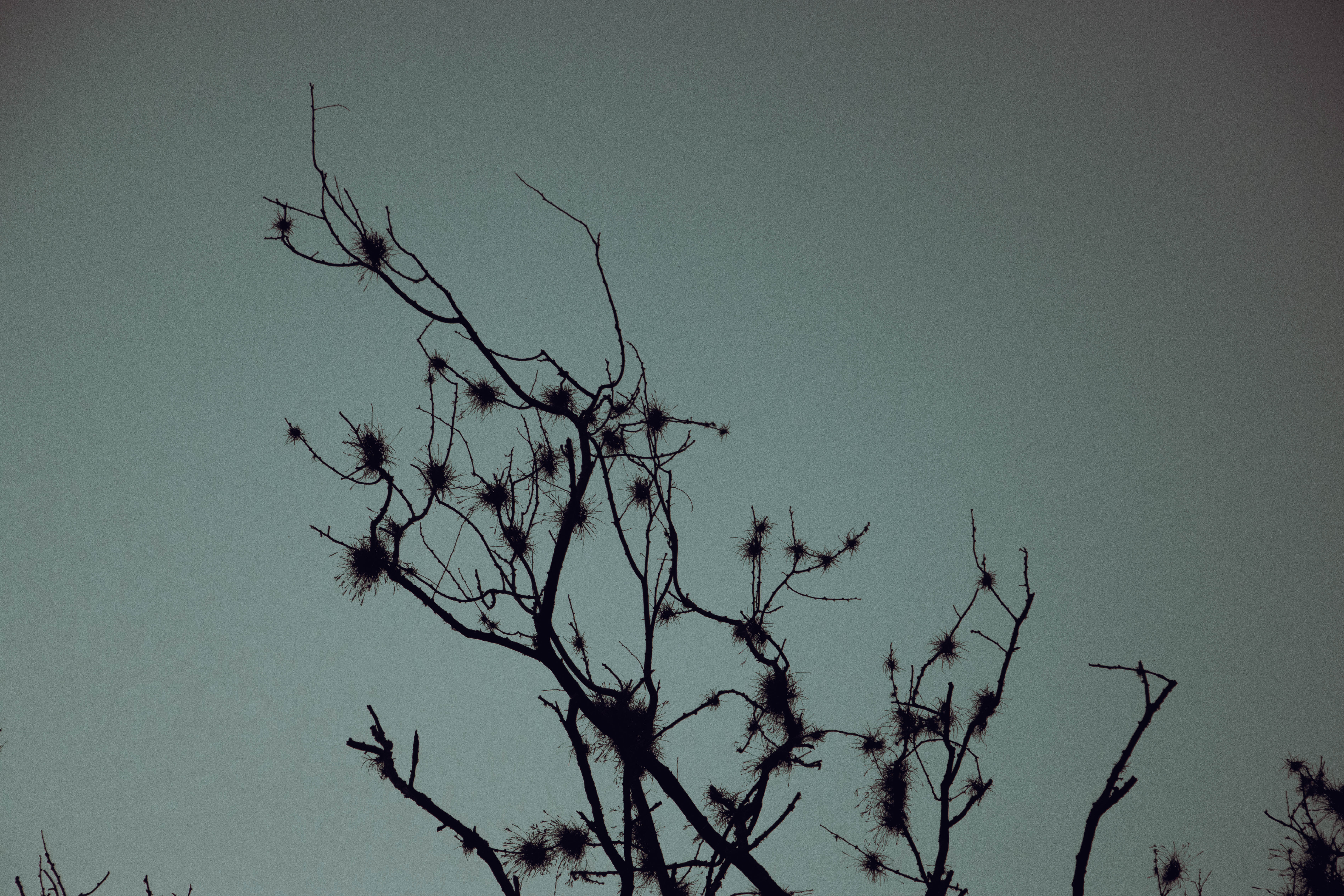 CIELO GRIS - MEDELLIN #2-1