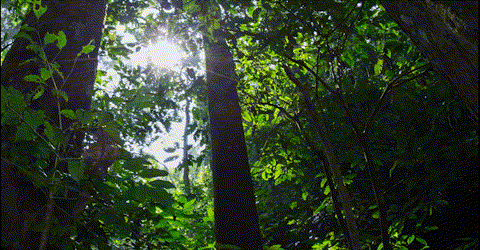 西山金茂府售楼处丨中国北京丨SRD DESIGN 赛瑞迪普空间设计-1