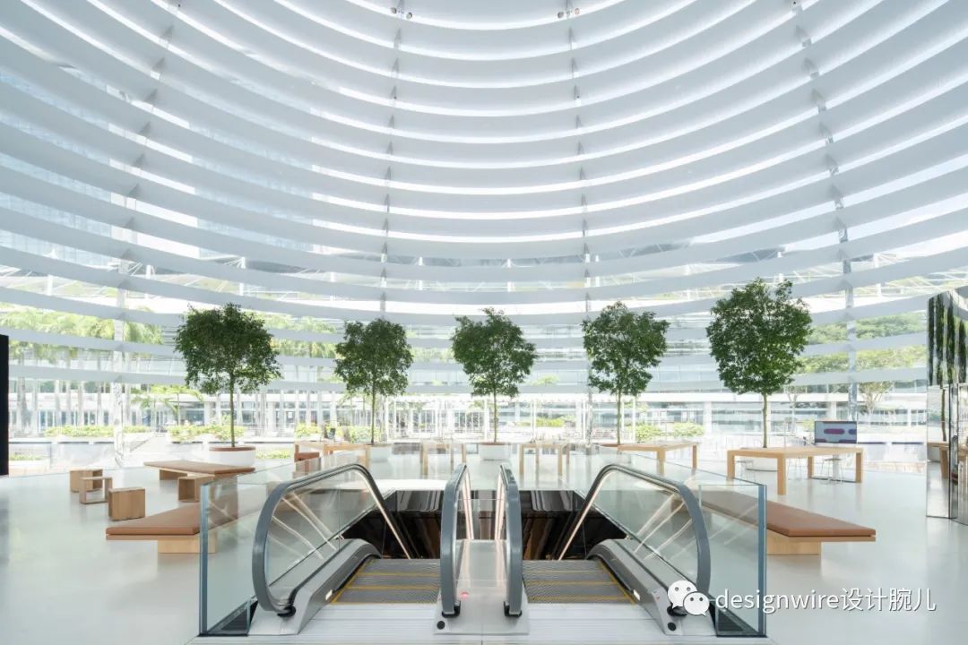 全球首个水上漂浮苹果店，创新设计诠释品牌理念-51