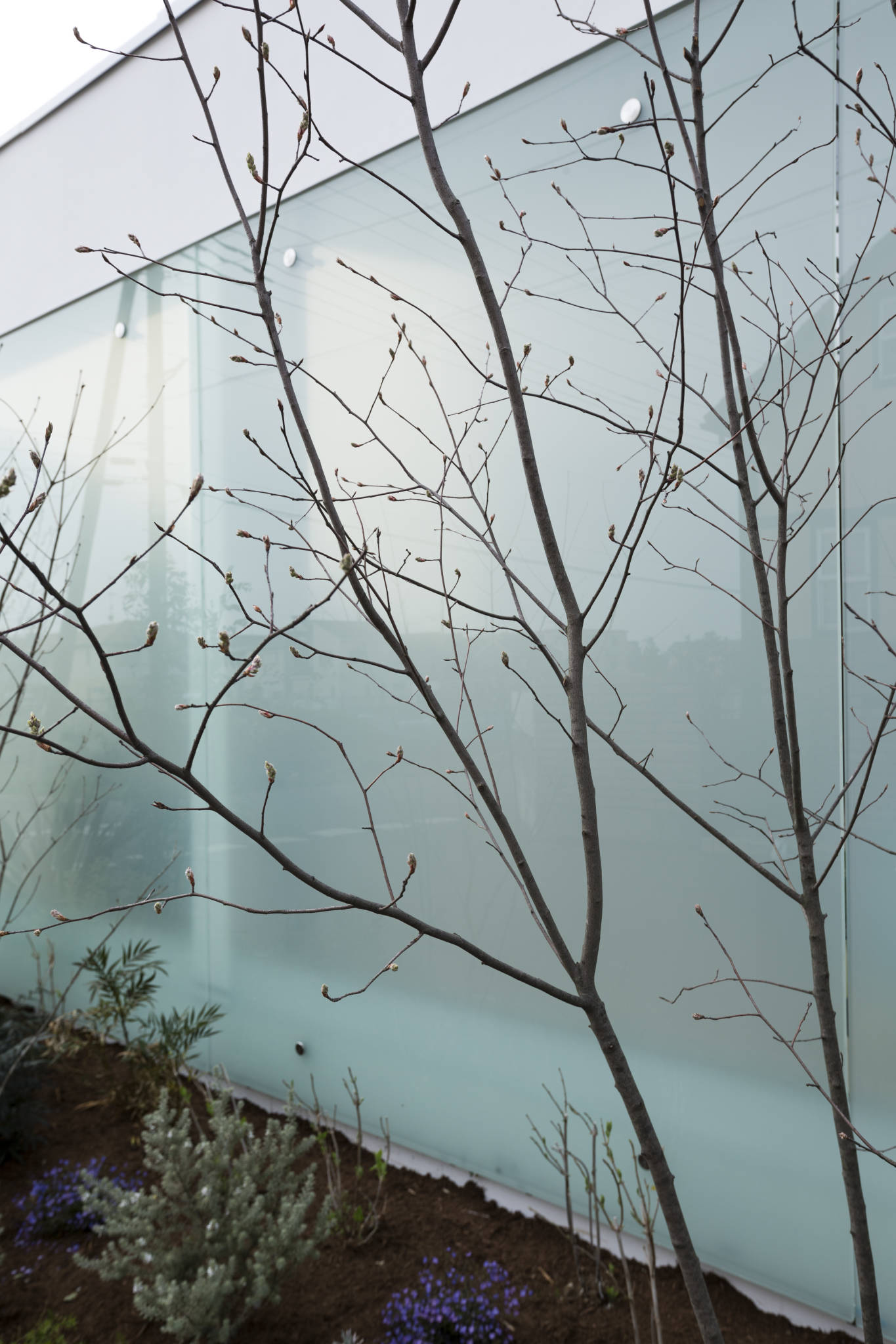 日本神奈川“别墅在公园”-16