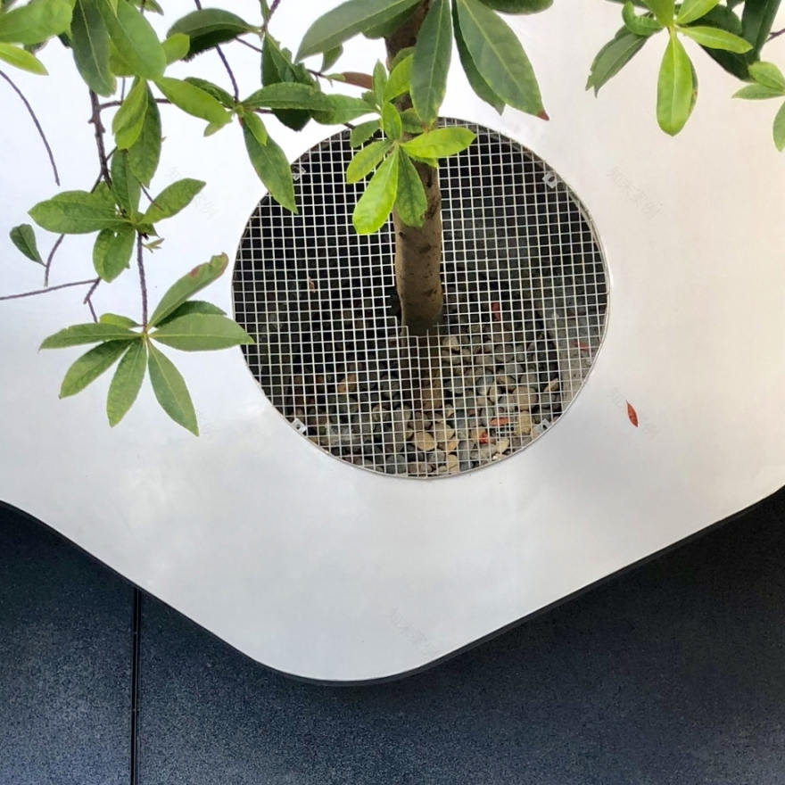 上海市实验学校中心庭院改造丨大观(上海大观景观设计有限公司)-28