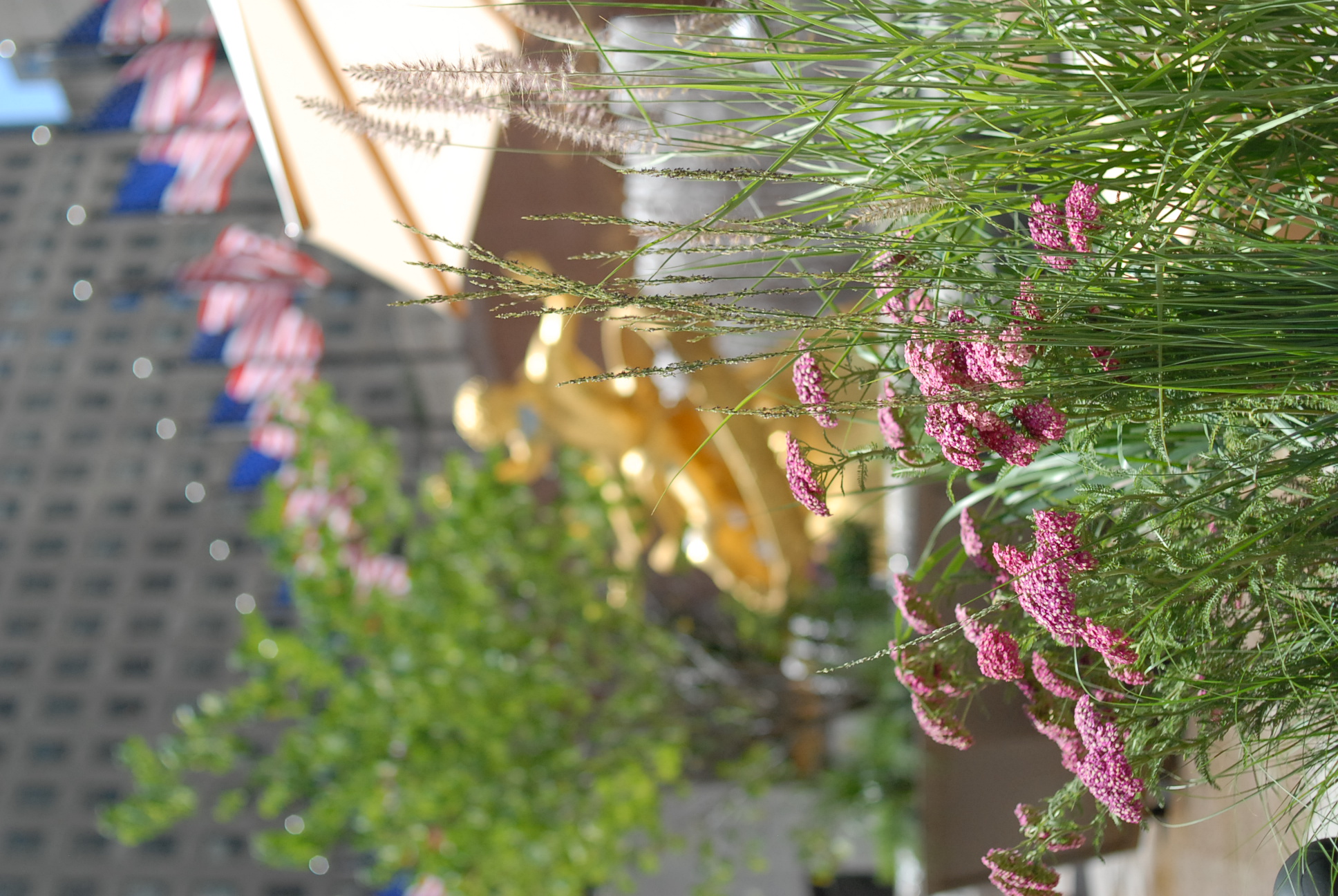 Rockefeller Center Summer Gardens | Julia Watson LLC-13