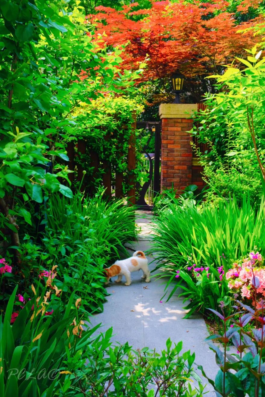 四月花园丨中国北京丨和平之礼花园-22