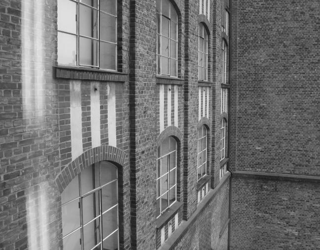 “老虎与乌龟”丨德国丨德国艺术家乌尔里希·根茨和海克·穆特-50