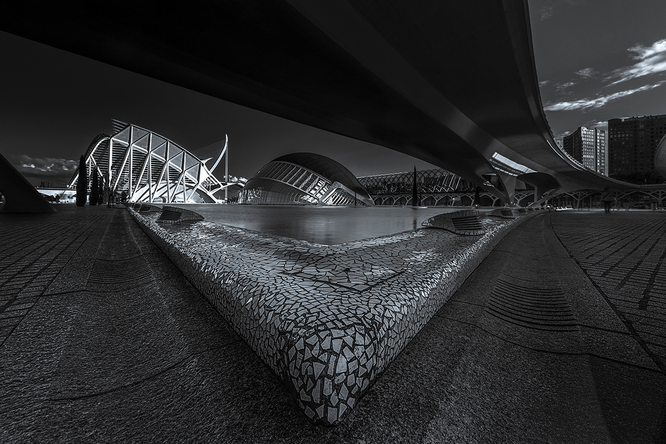 艺术与科学城丨Santiago Calatrava-4