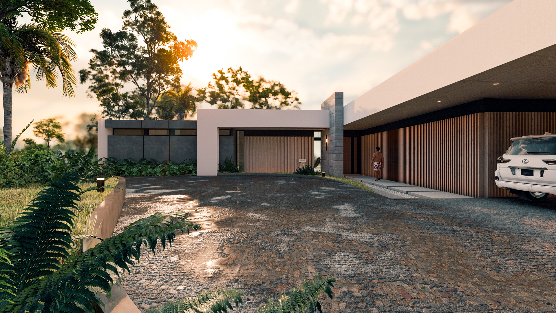 当地的本土的天然的原生的丨哥斯达黎加蓬塔雷纳斯-20