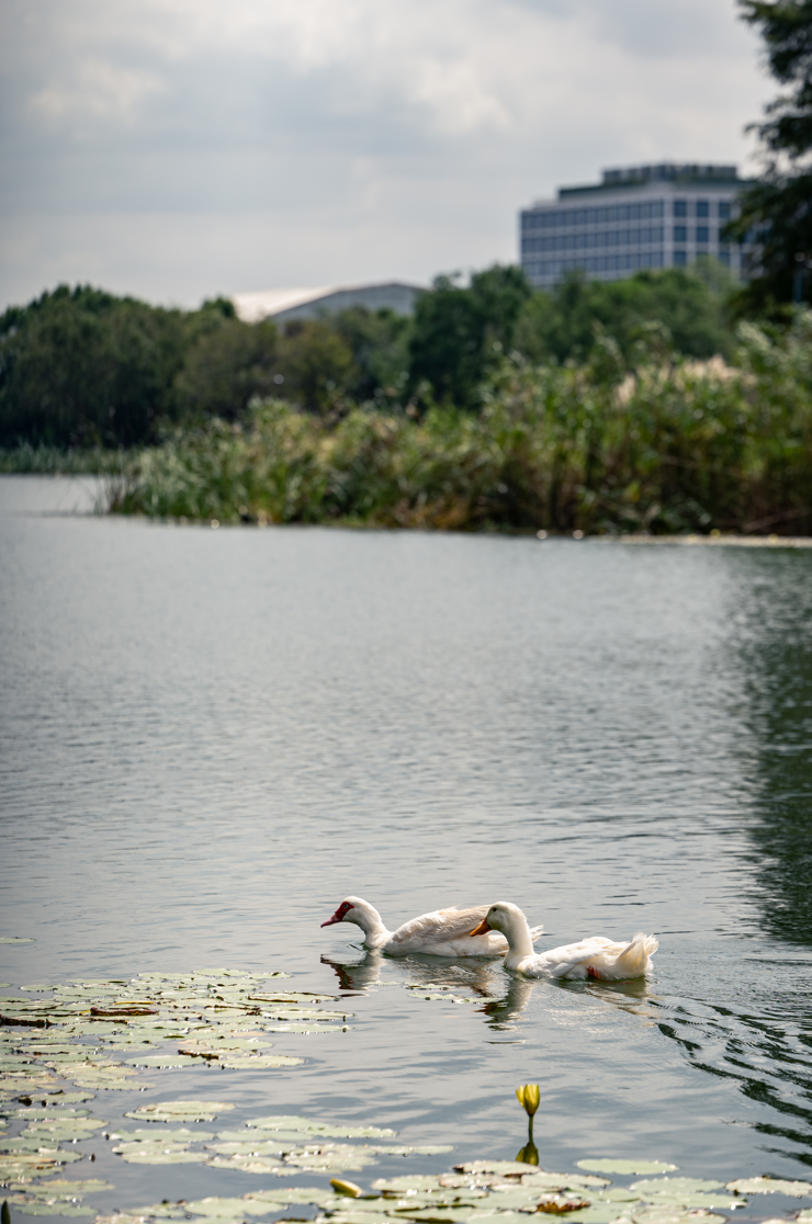 勝地|到公园去探探“动静”！-11