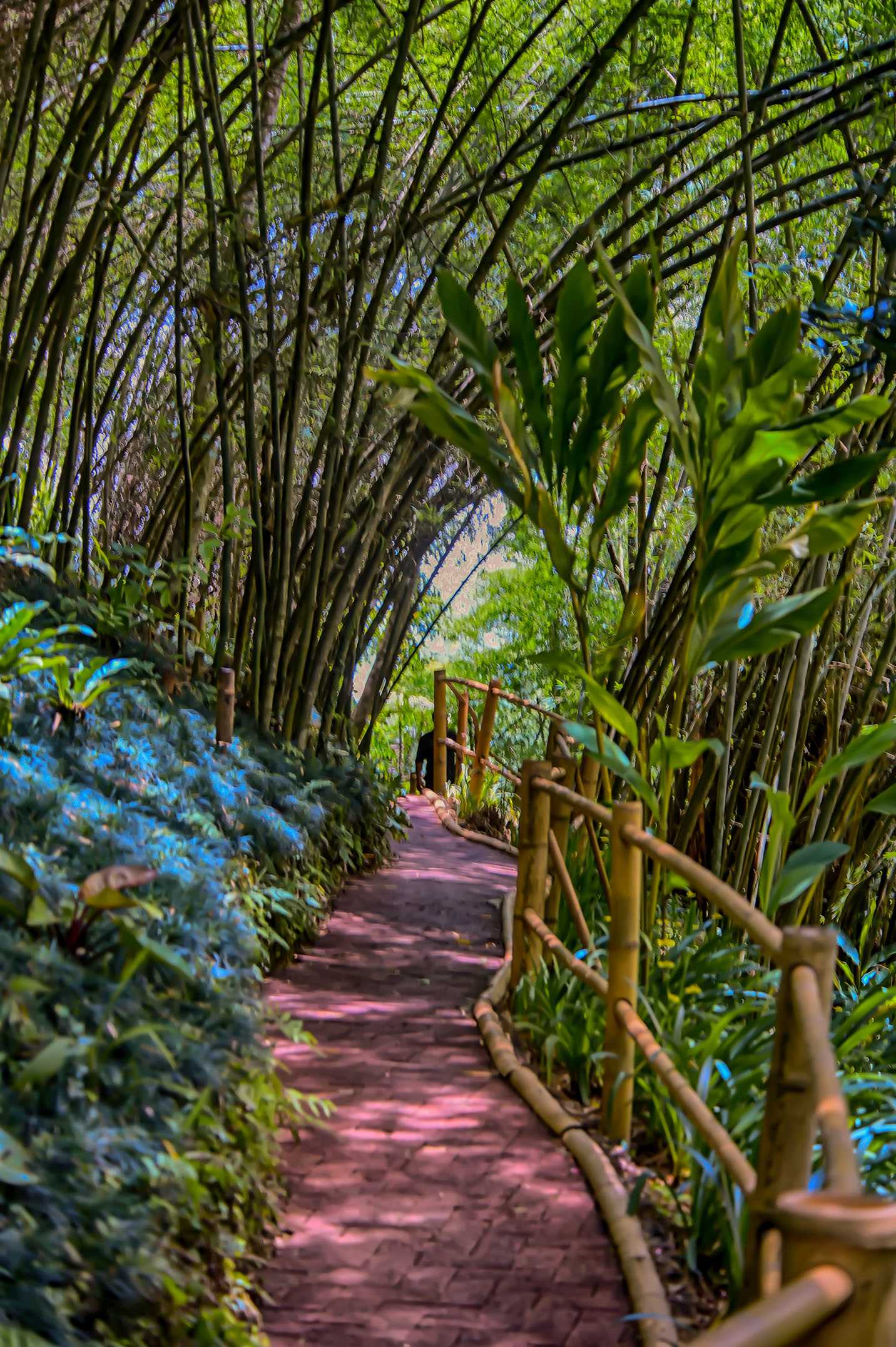 金三角四季帐篷营地 | 探险与奢华的完美结合-21