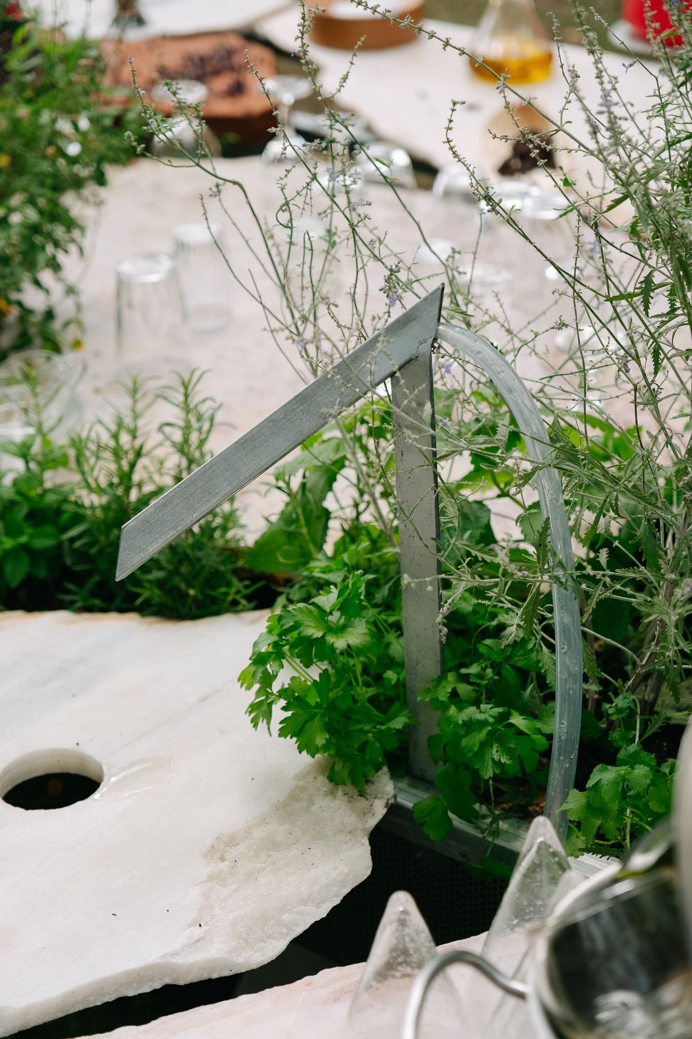 活体多物种厨房丨葡萄牙波尔图丨Fahrenheit Works-36