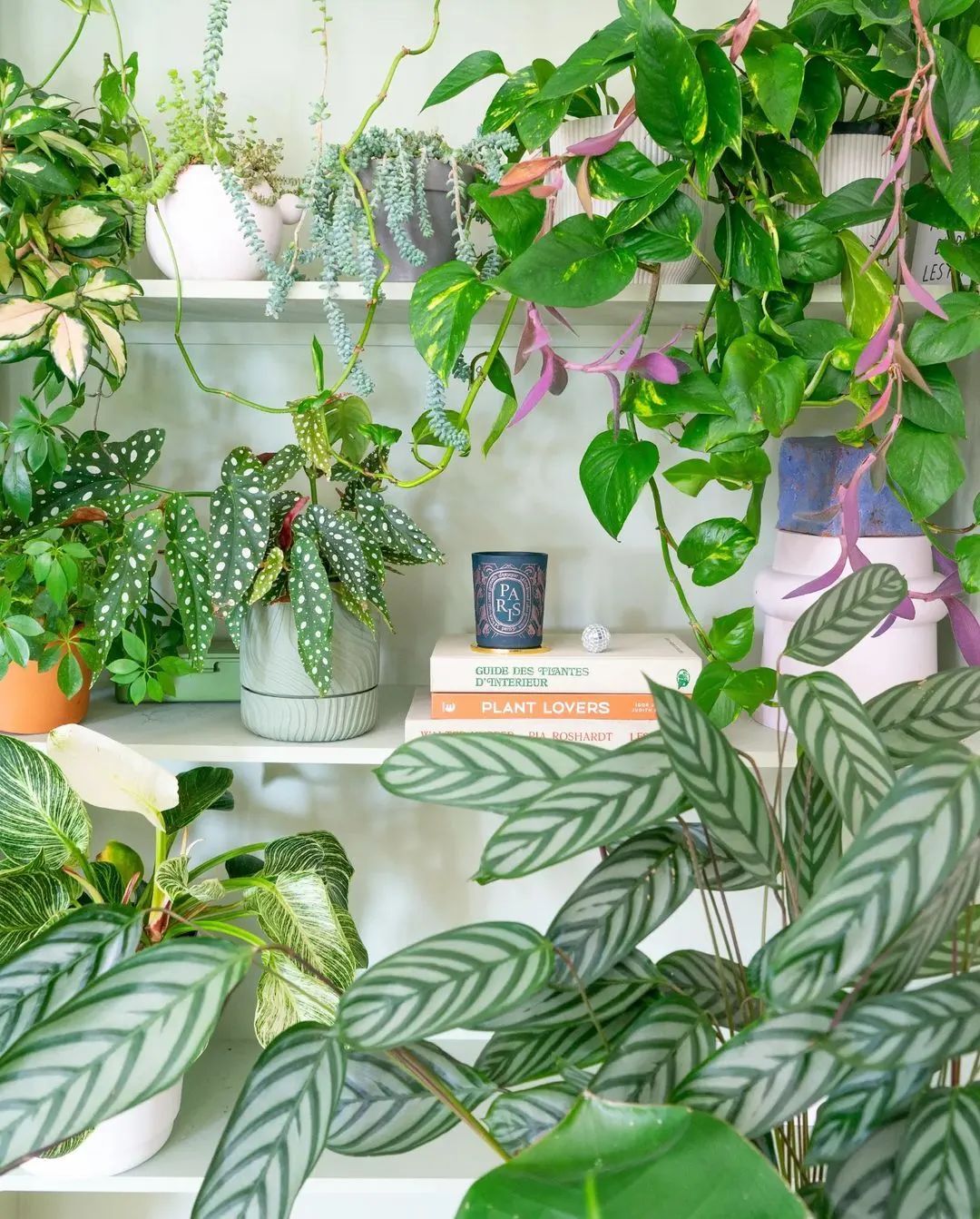 马卡龙色系的家丨法国丨Judith-15