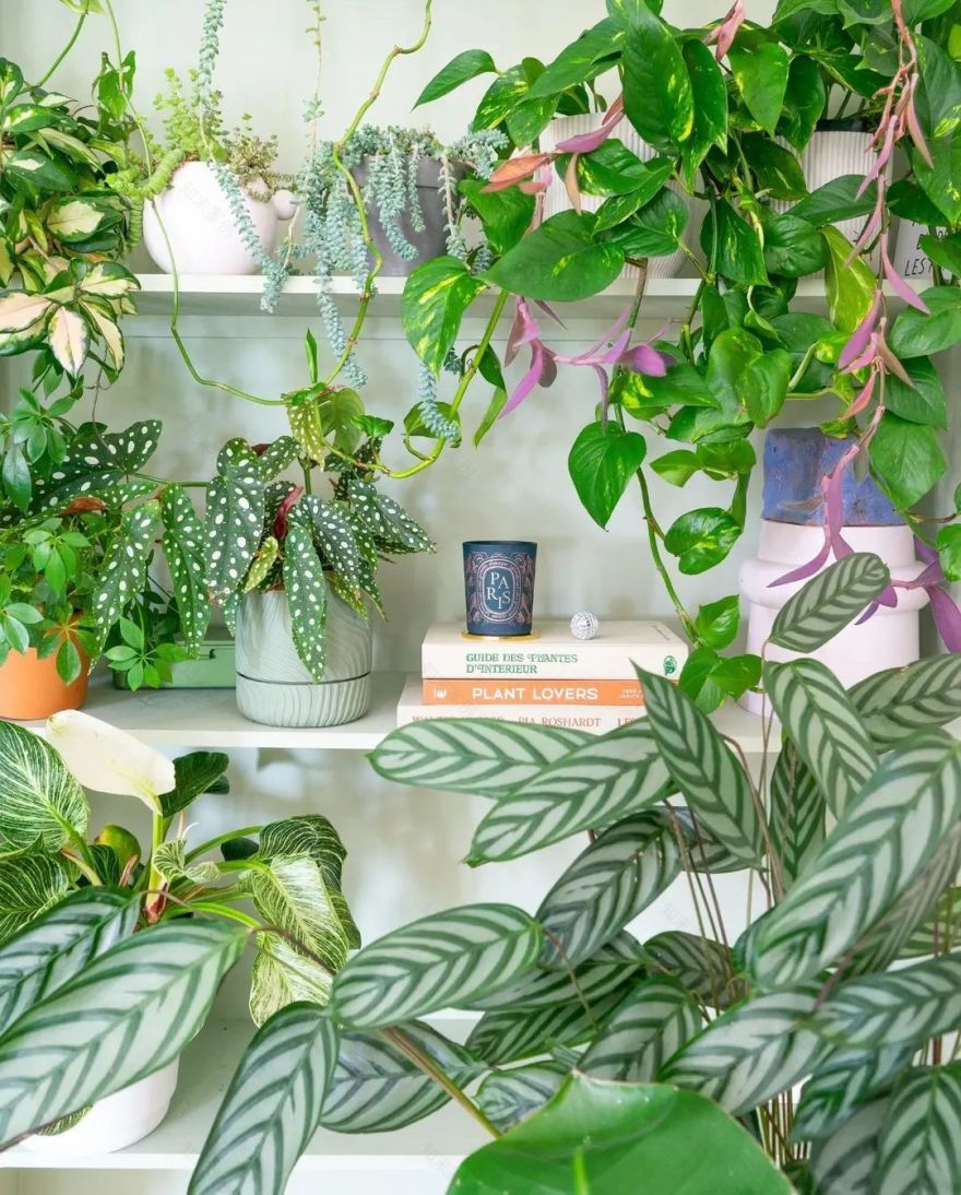 马卡龙色系的家丨法国丨Judith-15