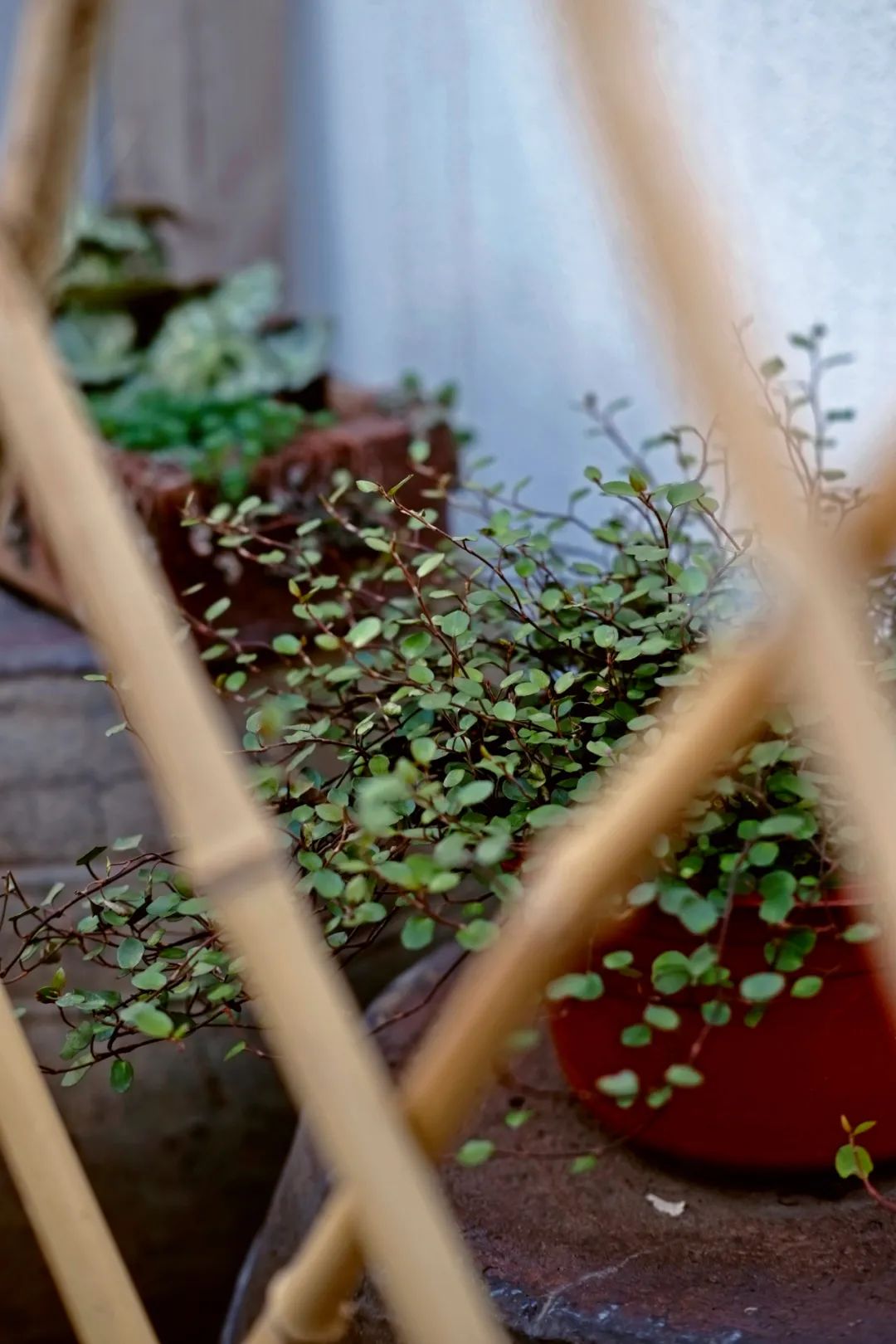 诗意小院设计丨禾景装饰工程有限公司-37