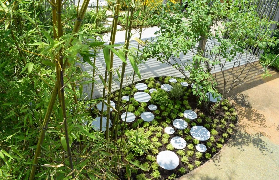 夏日花园养护攻略，打造梦想花园-12