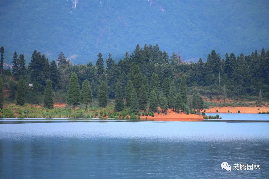 天湖寻踪 | 自然生态的探索与记录-22