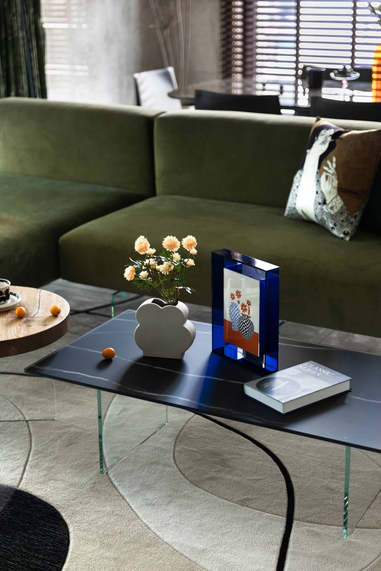 醇雅清新现代住宅设计-6