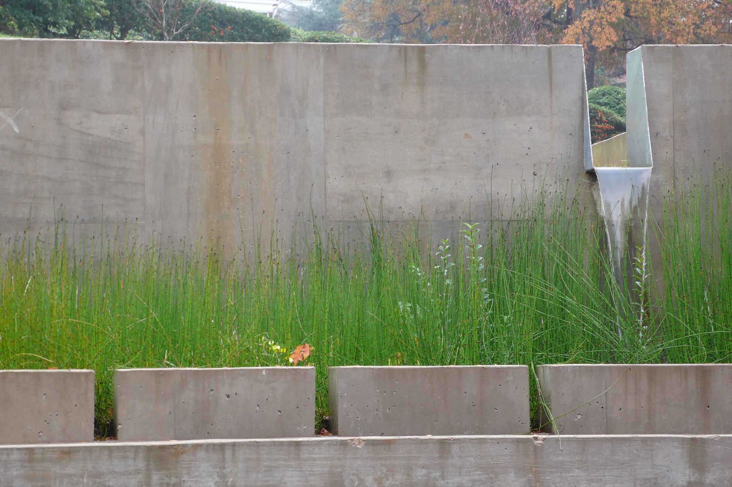 埃弗里特大学雨水庭院 averett university stormwater court by siteworks studio-10