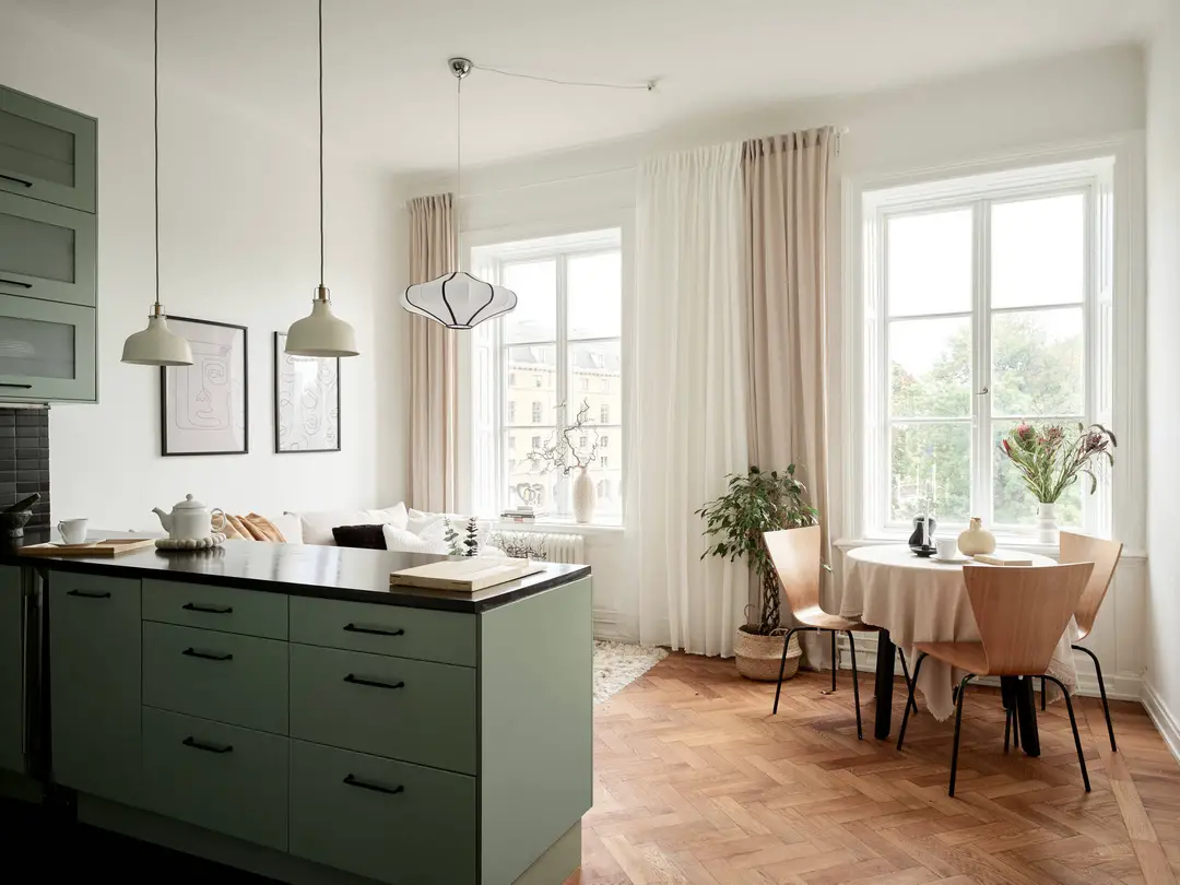 绿色厨房 | 斯堪的纳维亚风格一居室设计-2
