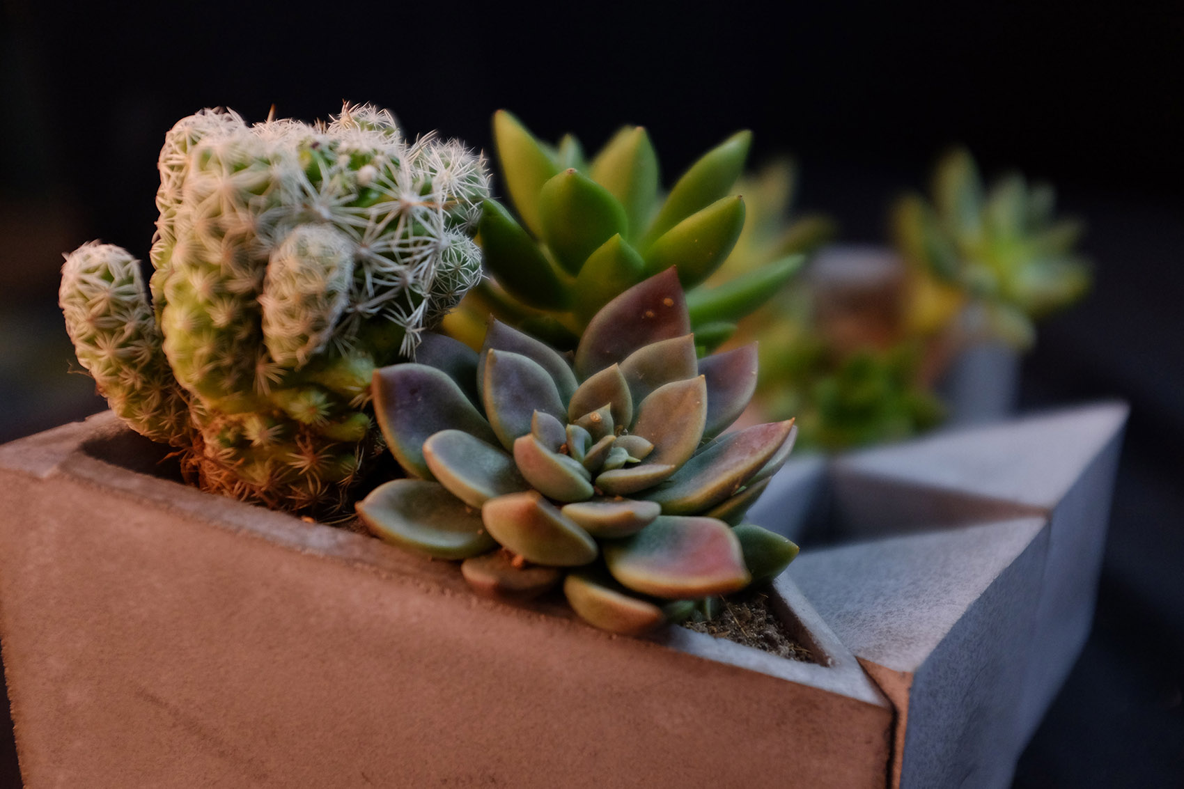 将美带入生活 & 可以自己制作的精致混凝土器物 / 造么工作室-11