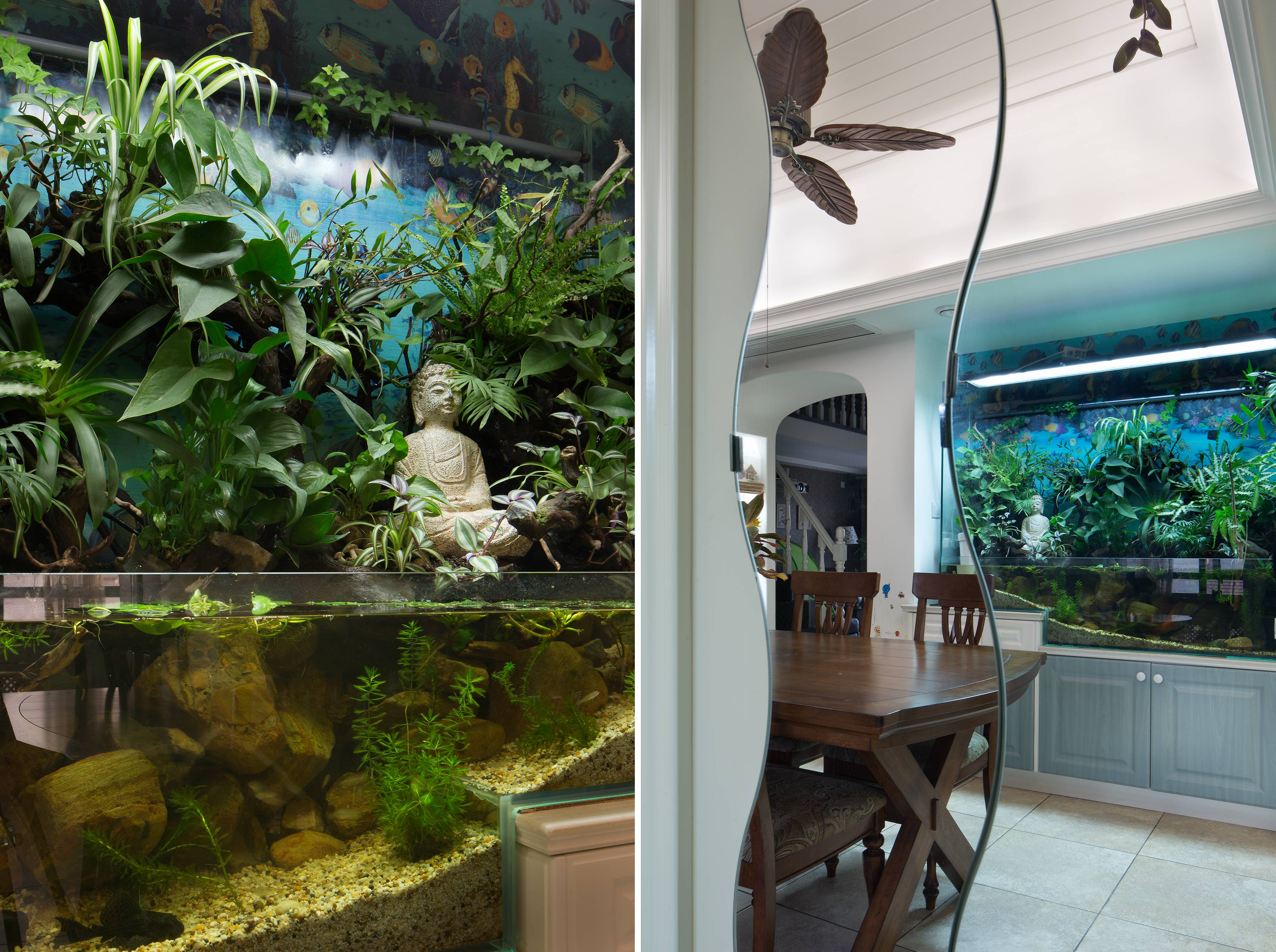 树屋设计  绿野仙踪-1