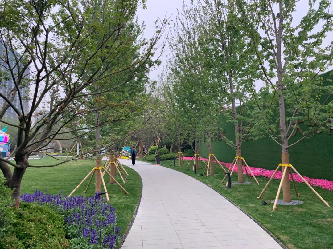 园路列植设计丨上景总工办-25