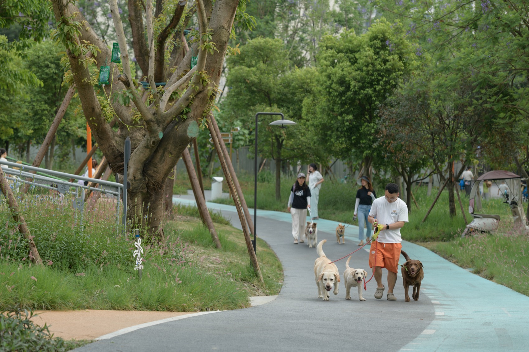 成都趣野公园(屋头公园)丨中国成都丨大小景观-32