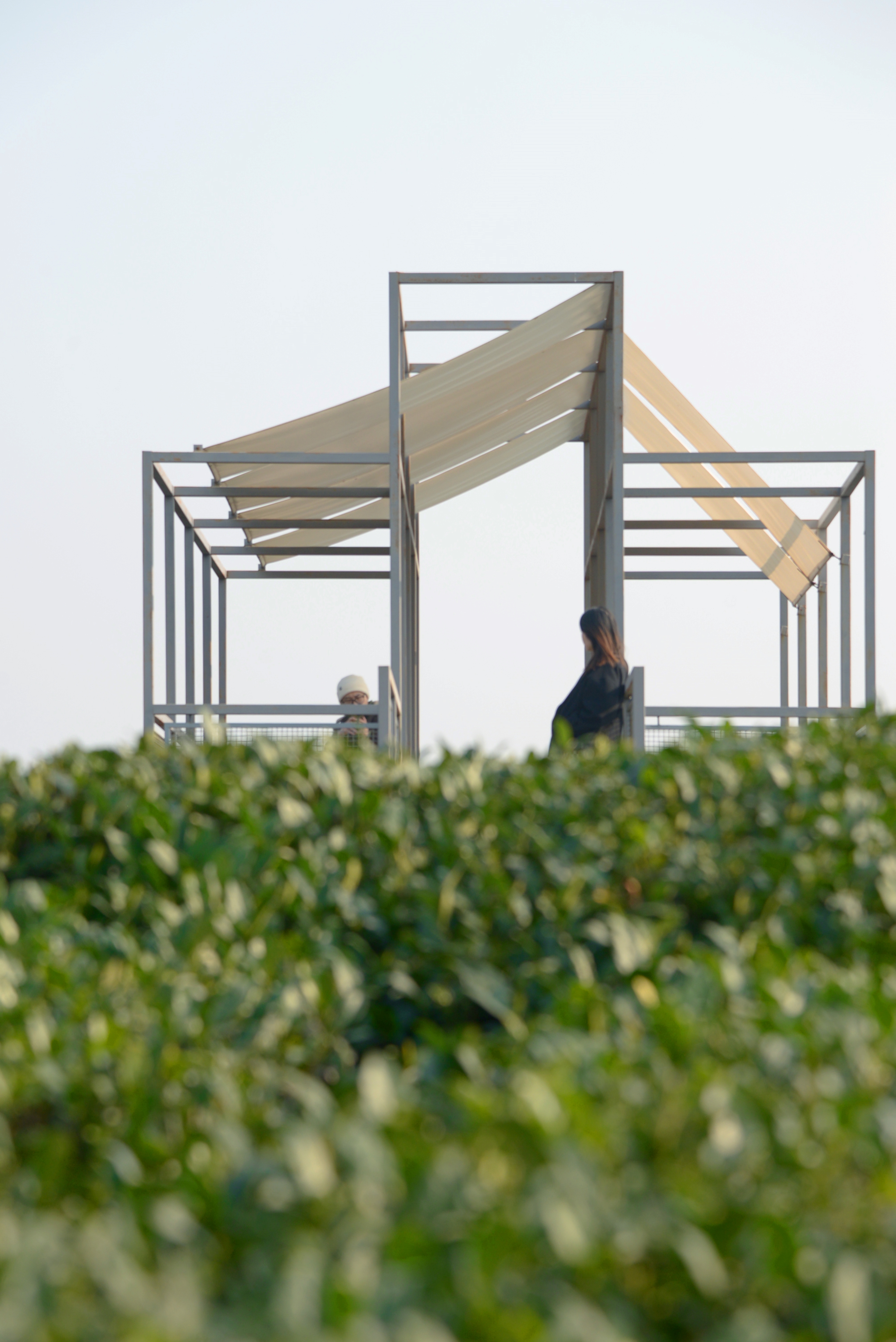 长埭村艺术乡建系列茶山浮亭丨中国杭州丨由牧建筑-26