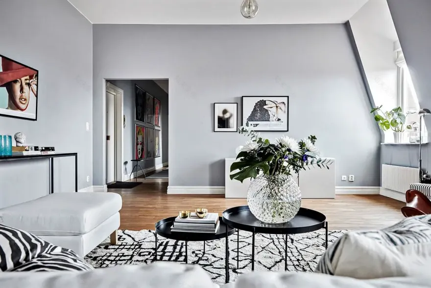 奇幻斑马纹,现代家居的独特魅力-4