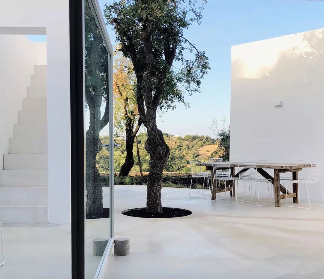 十座充满生命力的建筑 | 传统与现代的完美融合-162