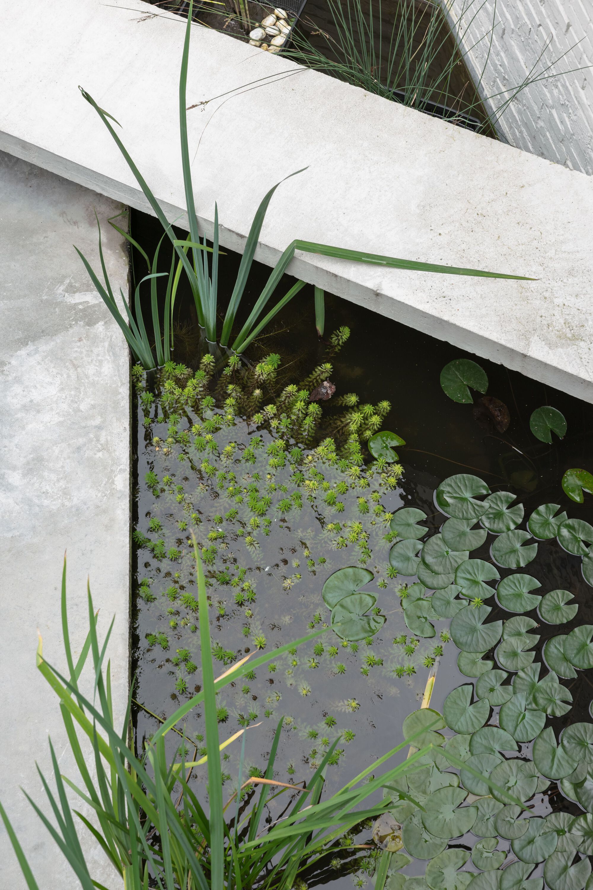 别墅丨比利时-52