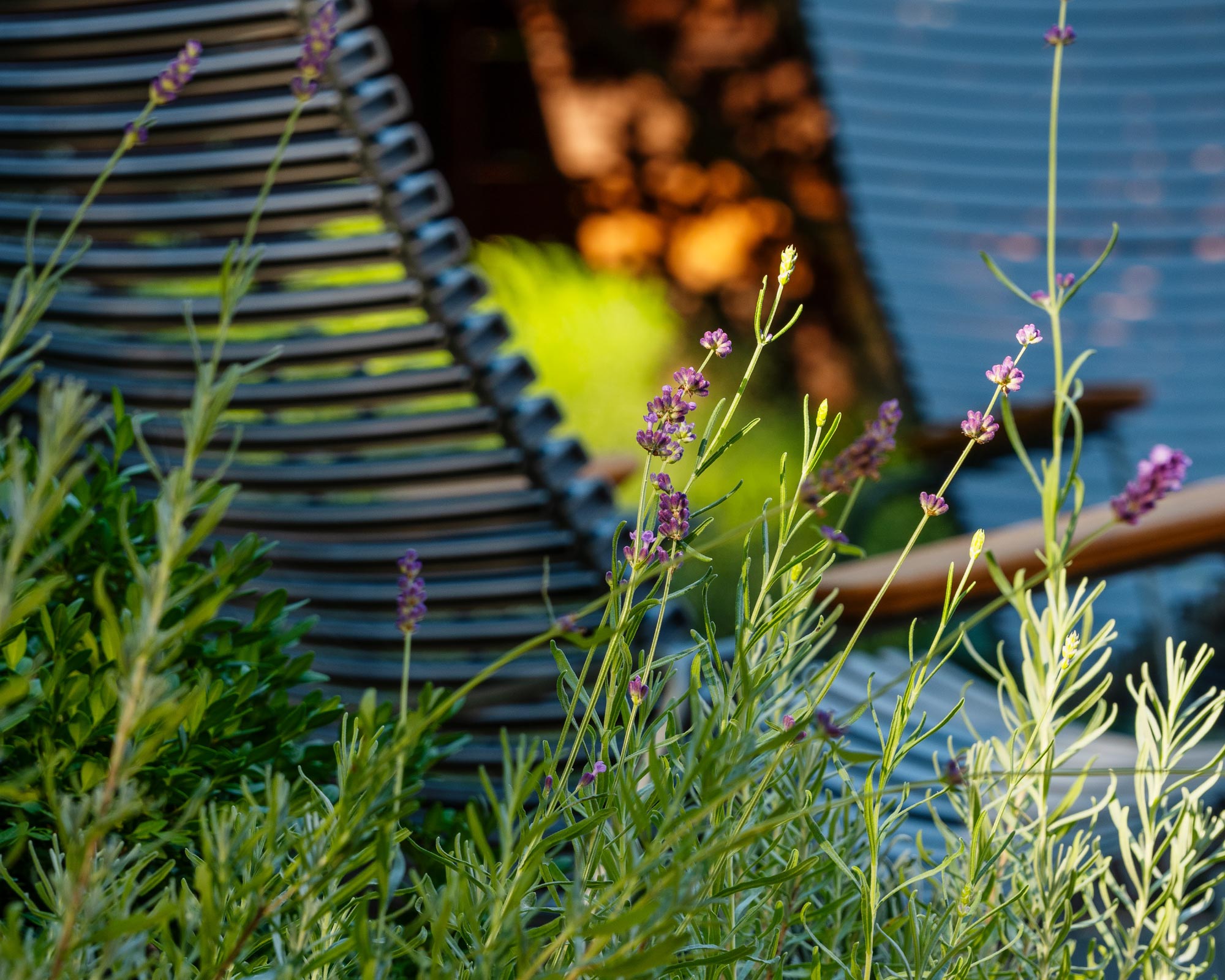 丨美国芝加哥-36