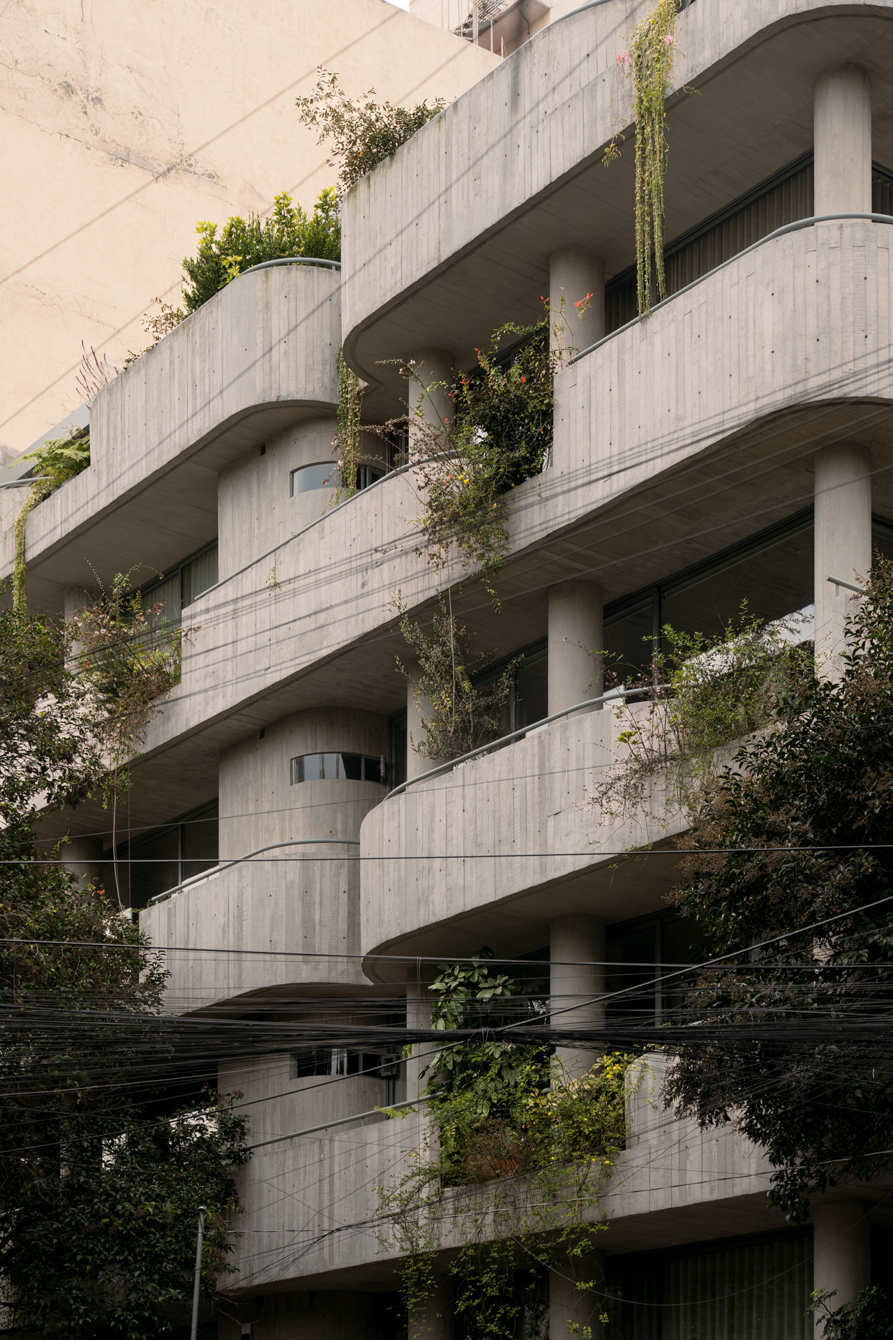 未明确提及丨MICHAN ARCHITECTURE-6