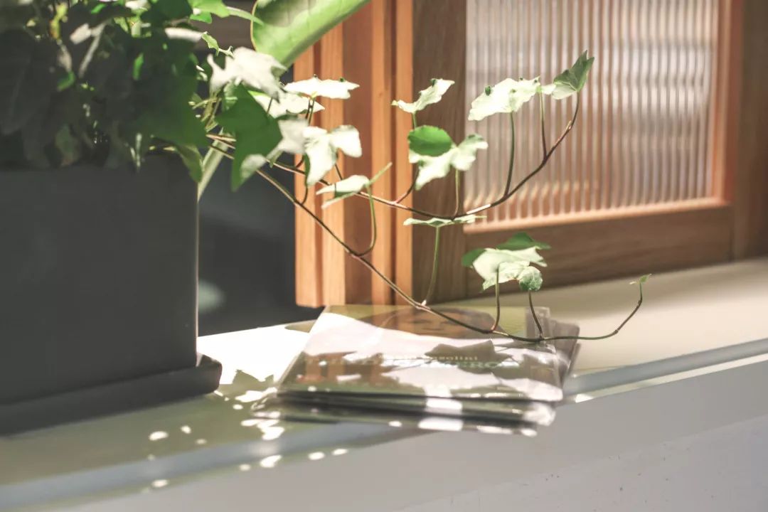 异地恋装修记 | 打造灵魂收容所的九九八十一难-64