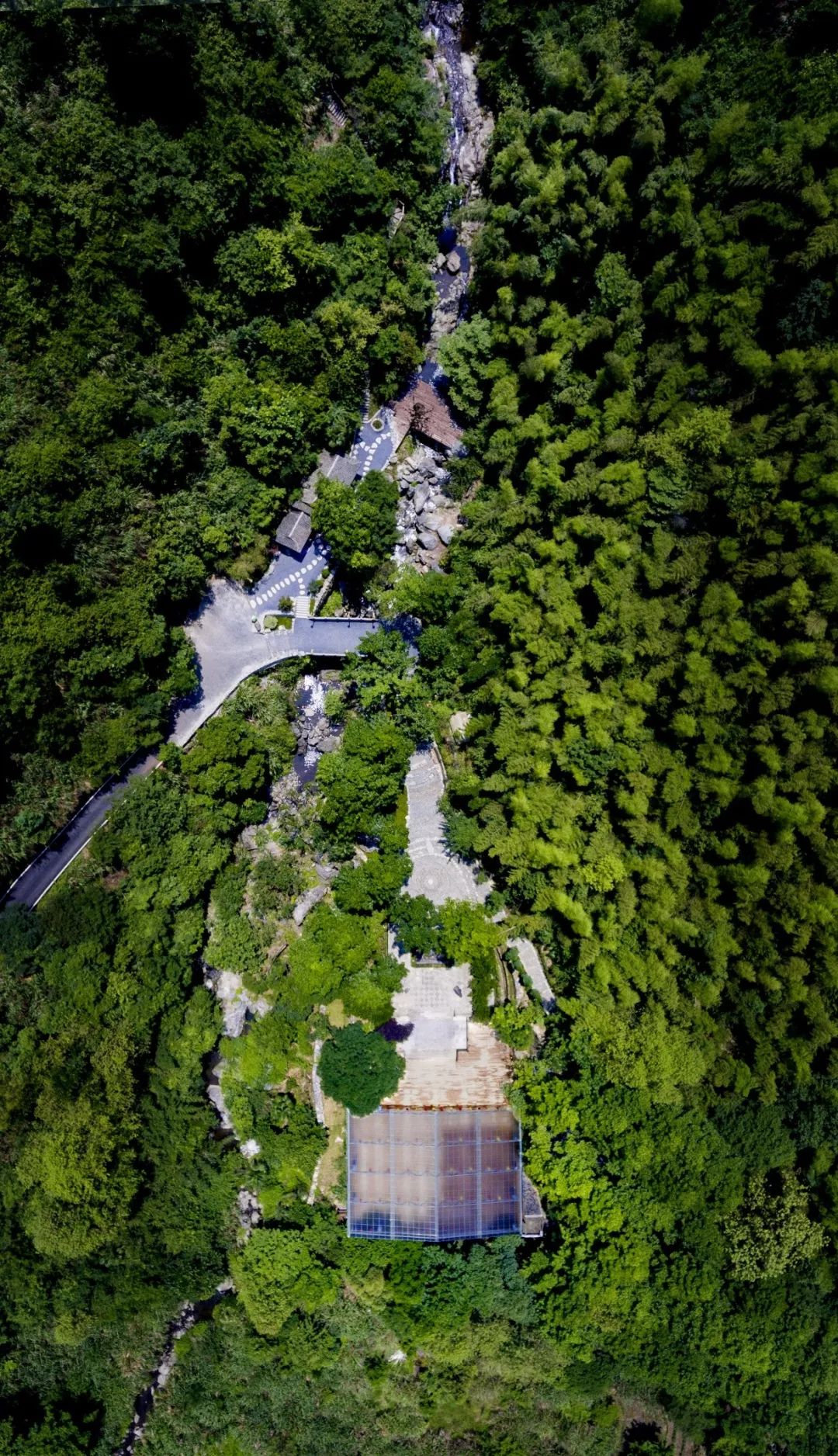 庐山桃花源景区名茶名泉节效果提升 | 打造茶禅一味的美景-51