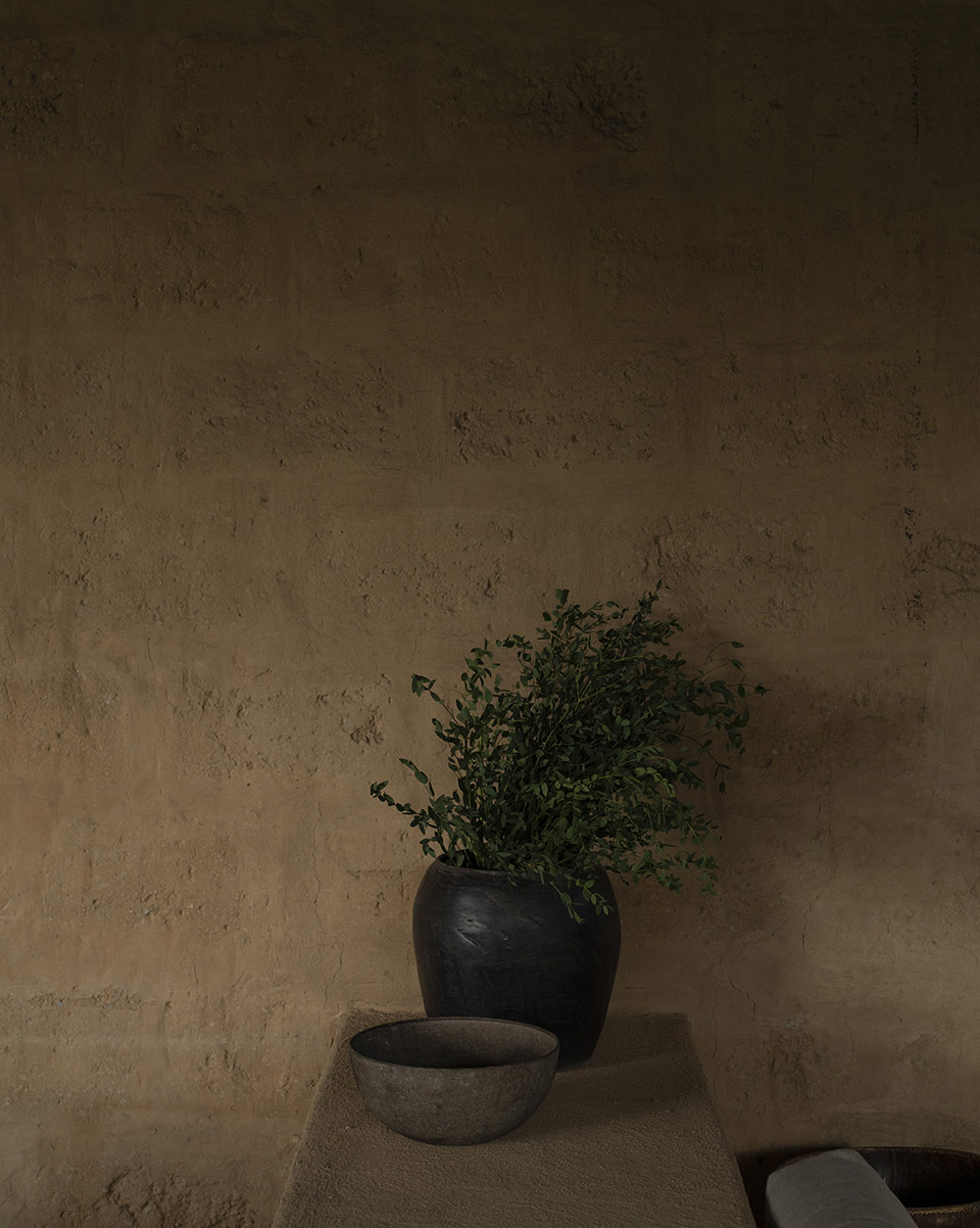 林中之屋丨墨西哥丨direccion-38