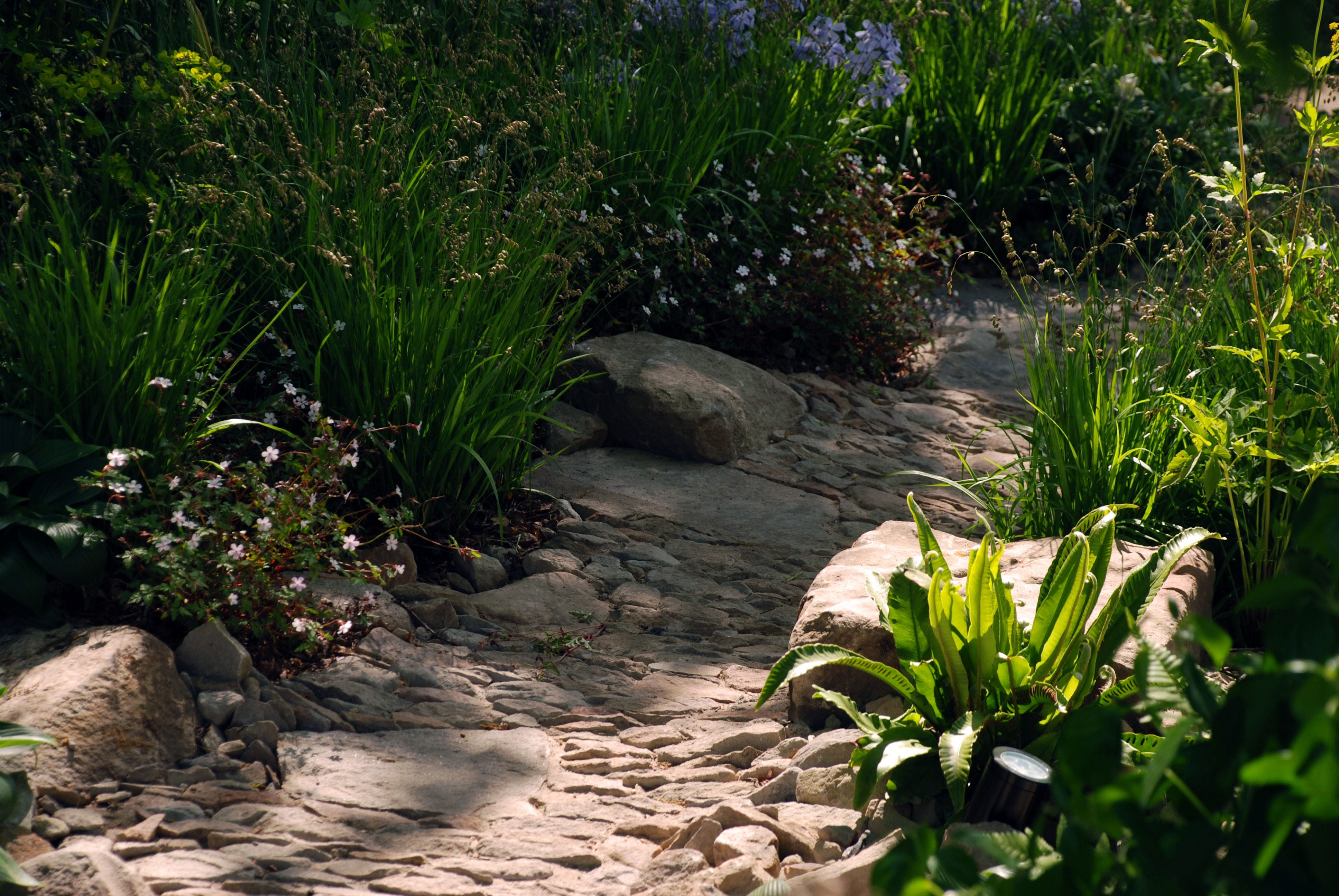 橡树林的回忆 | Cleve West 的 M&G 花园-17