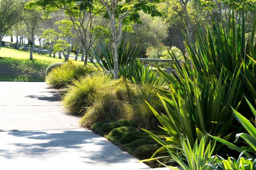 SECRET GARDENS 庭院系列-22