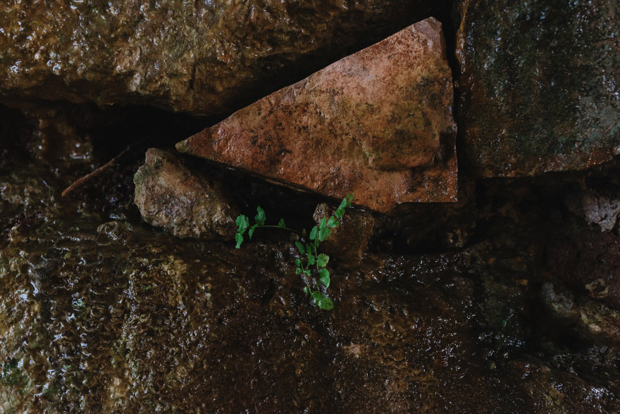 大地礼拜堂,墨西哥 / Cabrera Arqs-58