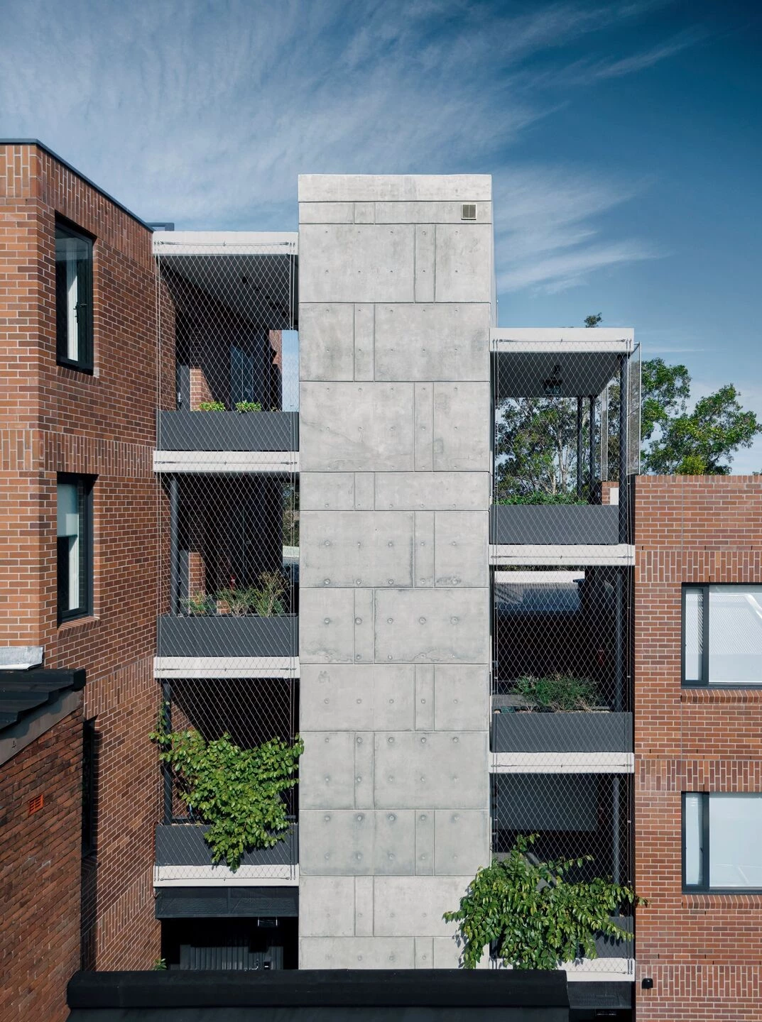 昴星团法庭丨澳大利亚丨Kreis Grennan Architecture-5