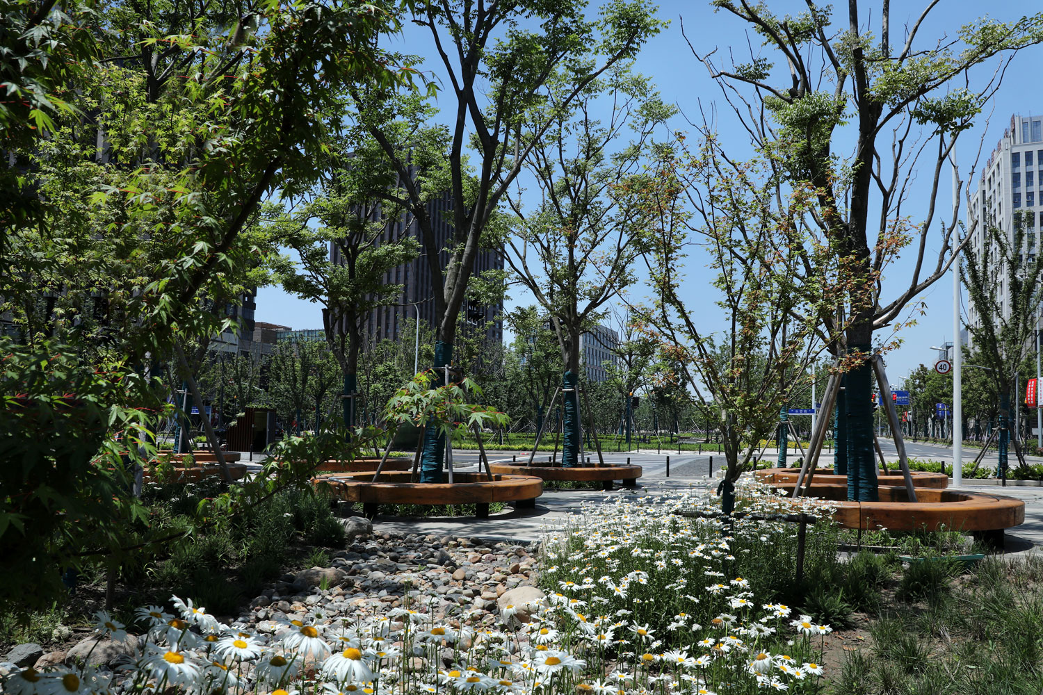 上海临港港城滴水湖绿色带线性公园-32