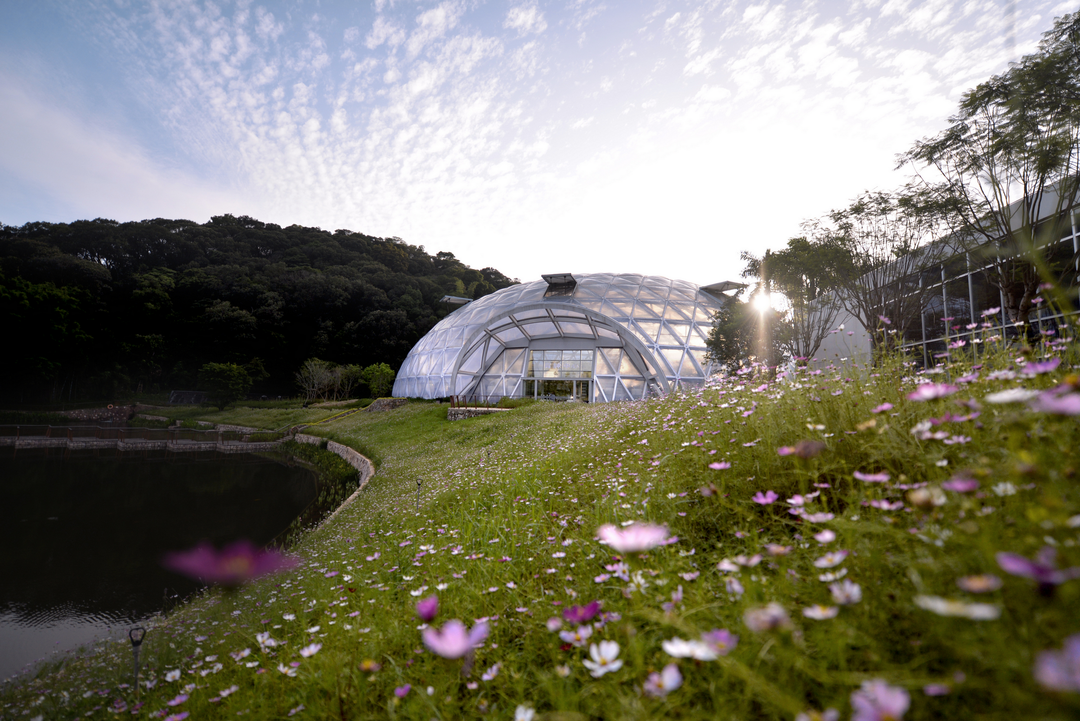 天鹿湖航新种子谷·现代农业公园丨中国广州丨PFS Studio(丛联景观)-35