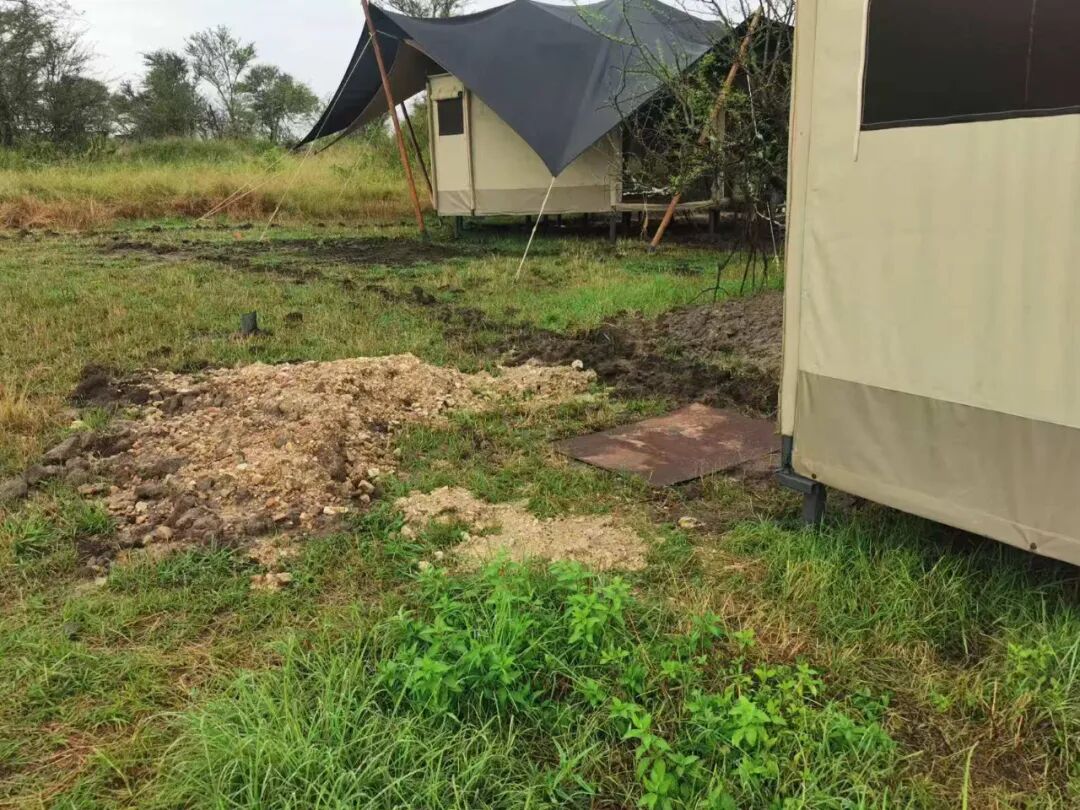 非洲考察2|坦桑酒店探访-207