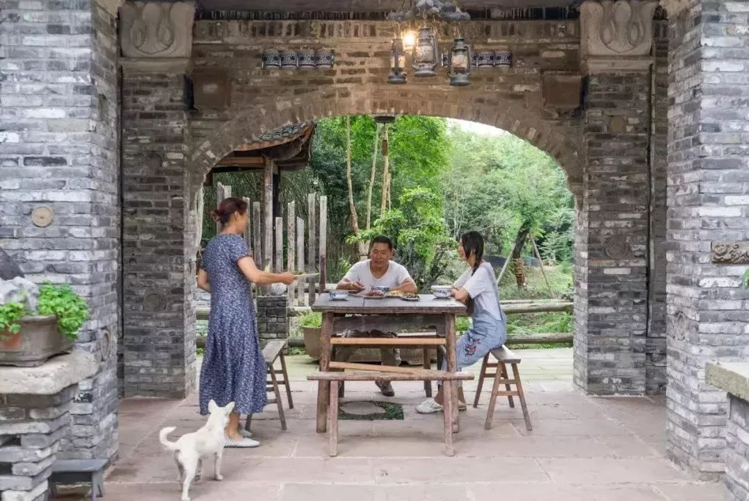 废弃庄园变鹭鸟天堂 | 400㎡中式宅院与 30 亩森林的共生设计-11