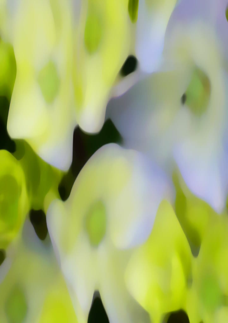 Arquivos architectural projects - Tempo da Delicadeza-3